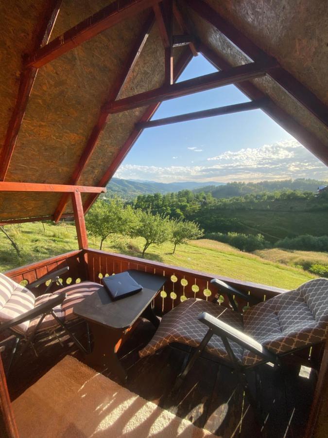 Villa Cabanuta Rustica à Banita Extérieur photo